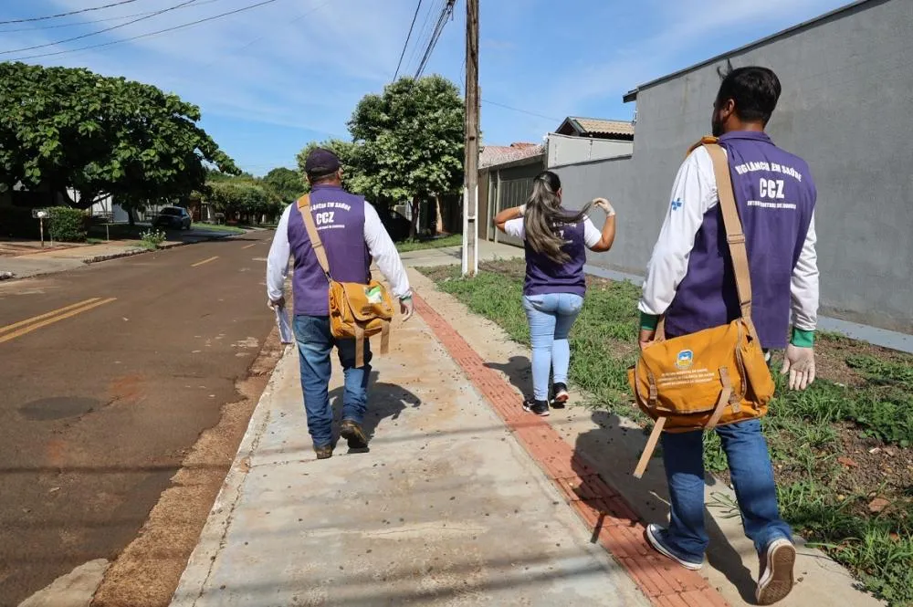 Dourados reduz casos de chikungunya, mas mantém alerta contra o mosquito transmissor